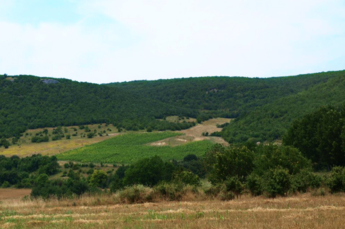 Chamlija, chamlija şarap, chamlija şarap fiyat, chamlija cabernet sauvignon,chamlija thracian, chamlija nevi şahsına münhasır,chamlija şarap satın al, chamlija şarap fiyat,chamlija pinor noir, chamlija bağları,chamlija bağ evi, chamlıja, chamlıja şarapları, chamlıja cabernet sauvignon, mustafa çamlıca, şarap sohbeti